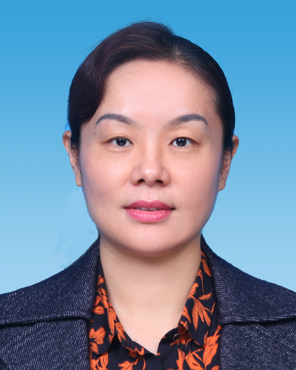 党委委员、纪委书记—车莉莉